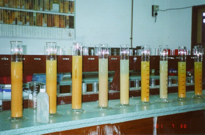 ESPEK Research Advisori Services makmal 2