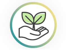 Replanting Assistance